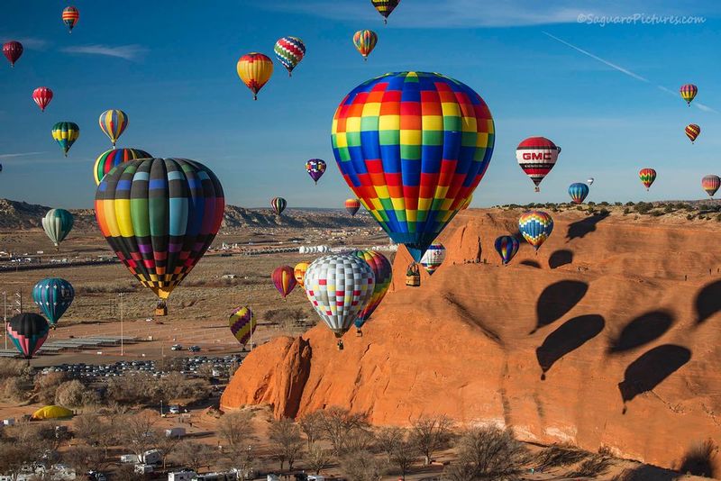 Gallup Balloon Festival Other Things I've Photographed Saguaro